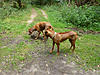 members/dormohsa-albums-rr-treffen-4-8-12-in-muehlheim-m-picture33073-p1030679.jpg