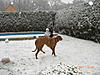 members/jurgstev-albums-bilder-im-schnee-picture10413-hu-ist-das.jpg